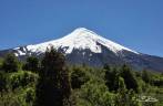 Sobre a copa das árvores se destaca o cume nevado do vulcão Osorno, na região de Puerto Varas, no sul do Chile